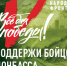 ЕДИНЫ С ДОНБАССОМ В ДЕНЬ СЕМЬИ - Сосновский район